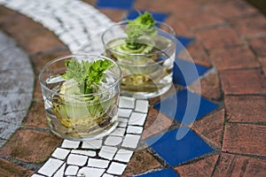 Regrowing celery from leftovers