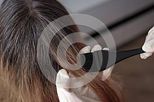 Regrown gray roots of dyed hair on head of woman. close-up photo