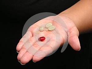 Regular & Peaberry Coffee Beans