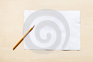 Regular pencil on blank sheet of white paper