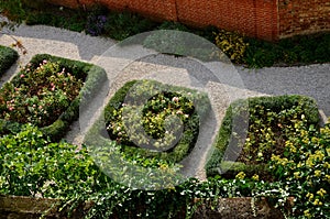 Regular quarter formal flower beds of the French Italian historical garden. boxwoods cut into hedges around the edges bordered. in