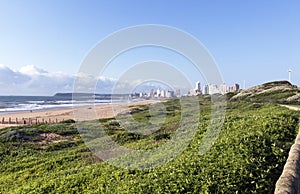 Rehabilitated Dunes with Hotels in Background, Durban South Africa