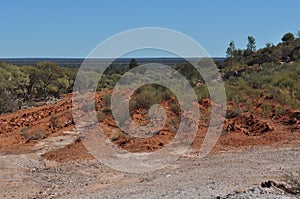 Rehabilitation of mine site regrowth rehabilitate photo