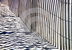 Rehoboth fence of beach 2000