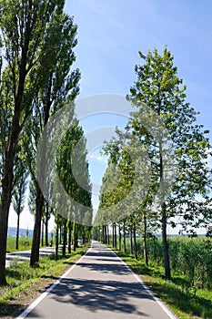 Reichenau Island, Germany