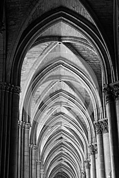 Reims Cathedral Ceiling Arches