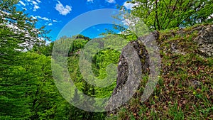 Rein - Idyllic hiking trail through lush green forest in Grazer Bergland, Prealps East of the Mur, Styria, Austria