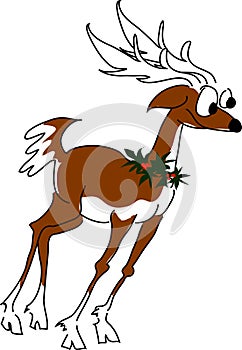 Reindeer 1