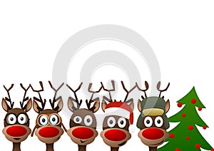 Reindeer