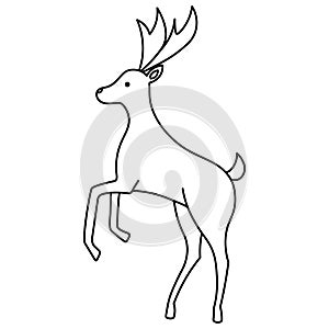 Reindeer. The animal reared up. Sketch. Pet of Santa Claus. Mammal with horns and hooves. Vector illustration. Doodle style.