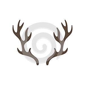 Reindeer antlers isolated on white background