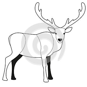 Reindeer cartoon style, with big antlers, isolated on white background