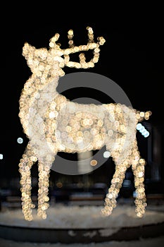 Reindeer Christmas lights