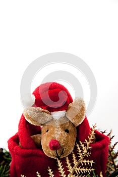 Reindeer Christmas with red hat.