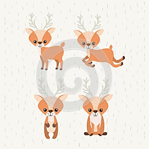 Reindeer cute wildlife icon photo