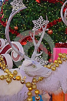 Reindeer Decoration for Christmas