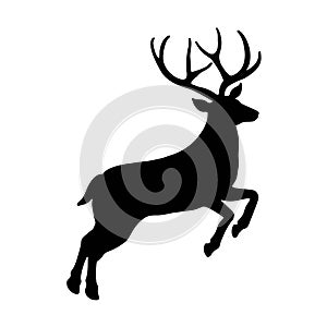 Reindeer, deer with huge antlers for christmas on the white background. Isolated illustration