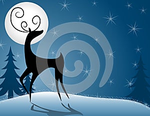 Reindeer or Deer Standing In Moonlight