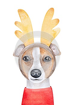 Reindeer Dog with beautiful golden antlers and bright red pullover.