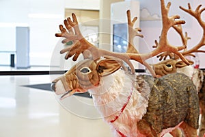 Reindeer doll for christmas and wintern theme