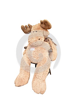 Reindeer doll on white background