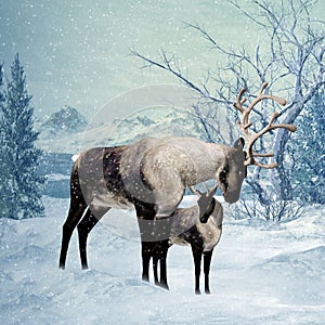 Reindeer and Fawn Winter Greeting Card