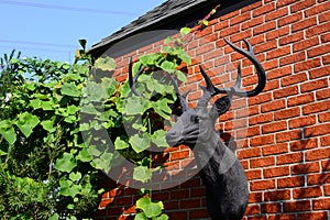 Reindeer head sculture hanging on the red brick wall