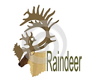 Reindeer head vector illustration isolated on white background.