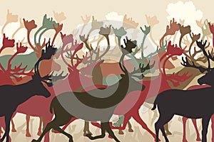 Reindeer herd photo