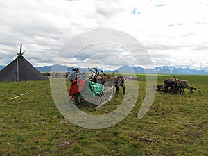 Reindeer herder station in the tundra.