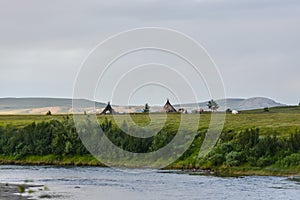 Reindeer herders camp in the Polar Urals natural Park.