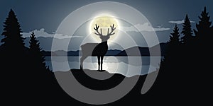 Reindeer by the lake full moon dark night wildlife nature landsc