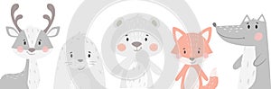 Reindeer, raccoon, seal, wolf, penguin, bear, fox baby winter set. Cute animal illustration