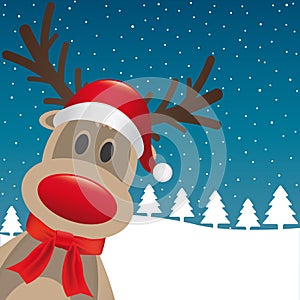 Reindeer red nose santa claus hat photo
