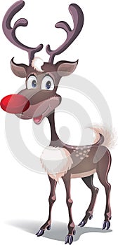 Reindeer Rudolph photo