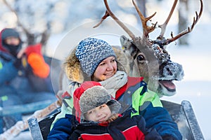 Reindeer safari