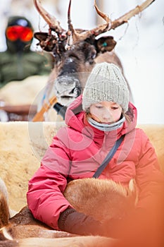 Reindeer safari in Lapland