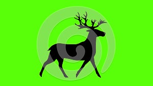 Reindeer silhouette green screen animation, seamless loop, cartoon flat