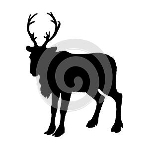 Reindeer silhouette. Black white icon. Christmas logo design. Vector illustration.