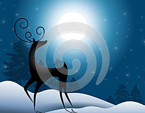 Reindeer Standing In Moonlight photo