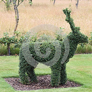 Reindeer topiary