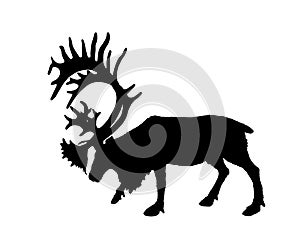 Reindeer vector silhouette illustration isolated on white background. Rein deer powerful animal. Christmas holiday symbol.