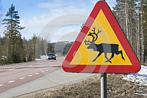 Reindeer warning sign Sweden photo