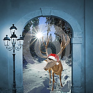 Reindeer in winter wonderland, christmas design