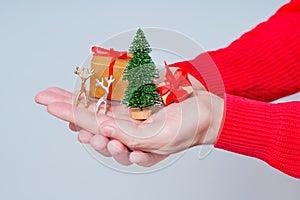 Reindeers and Gift Boxes under a Tiny Christmas Tree in Hands