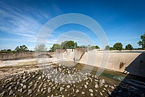 Reinforced Concrete Irrigation Canal with Dam in the Padan Plain - Lombardy Italy