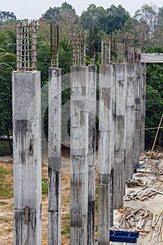 Reinforced concrete pillars Forest.