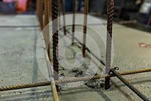 Reinforcement steel bars on wet cement.