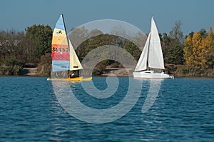 Rainbow catamaran sailing and white sailing on the lake of reiningue on autumnal trees background