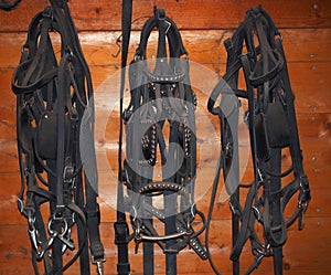 Reins And Horse Collars photo